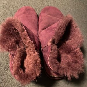 Purple Uggs
